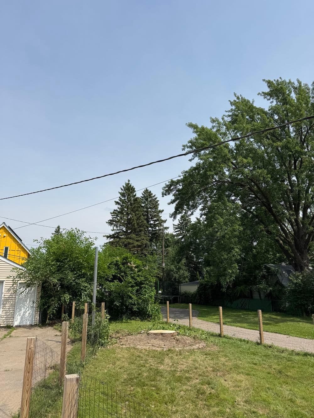 Gallery photos for Ash Tree Removal Near Power Lines in St. Paul: Image #2