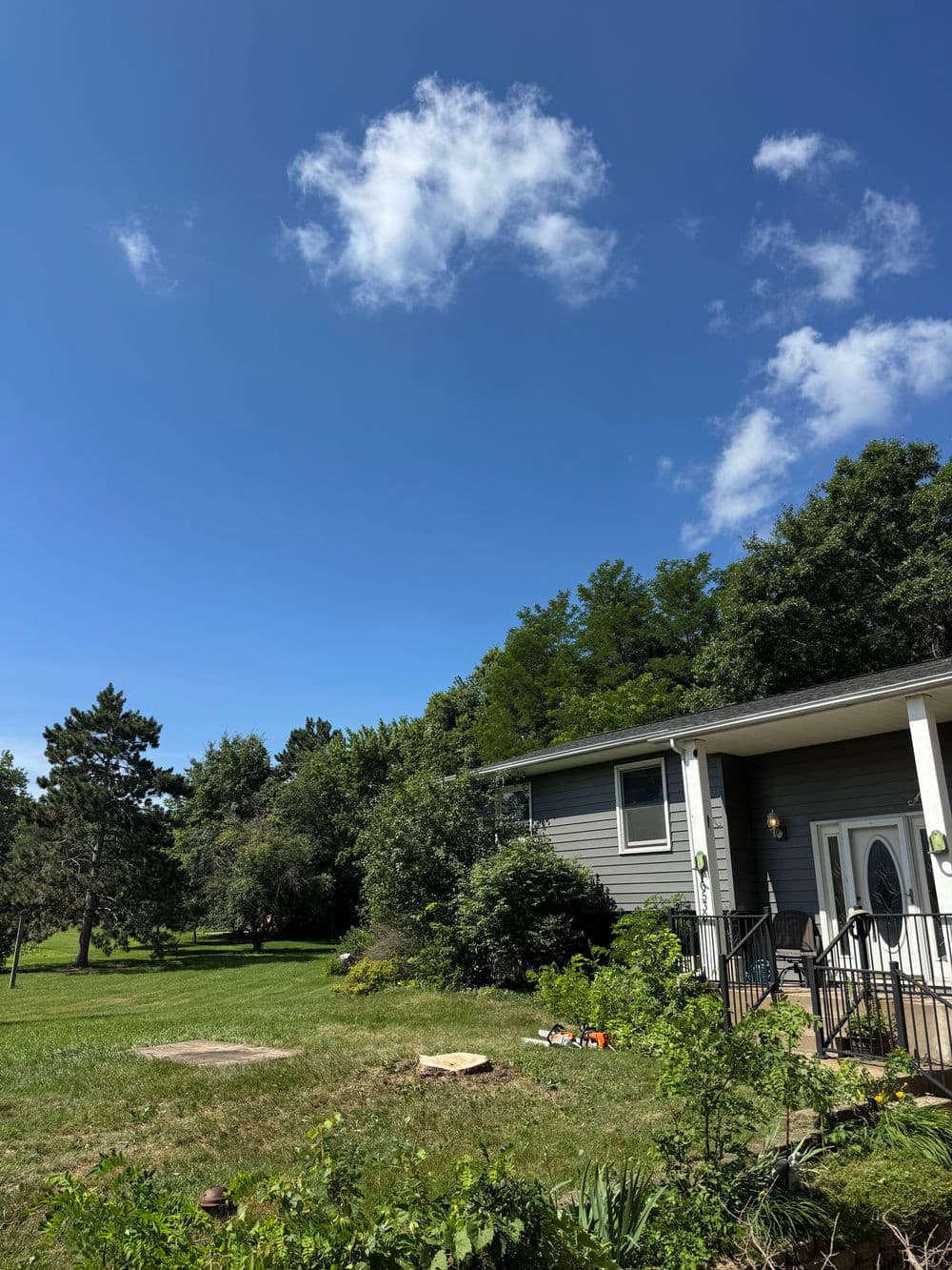 Gallery photos for Two Dead Ash Trees Removed in Ramsey MN: Image #1