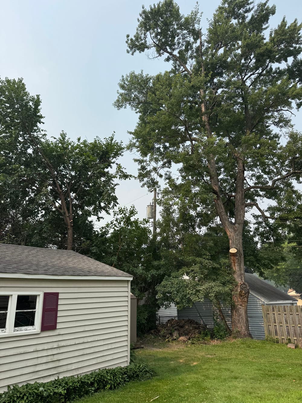 Gallery photos for Storm Limb Lands on Garage Roof in Richfield: Image #1