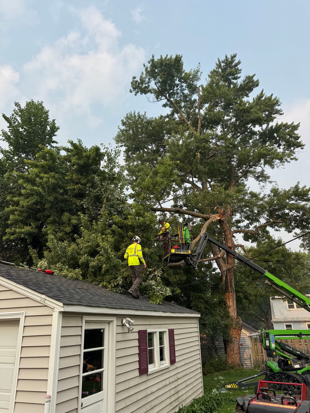 Gallery photos for Storm Limb Lands on Garage Roof in Richfield: Image #2