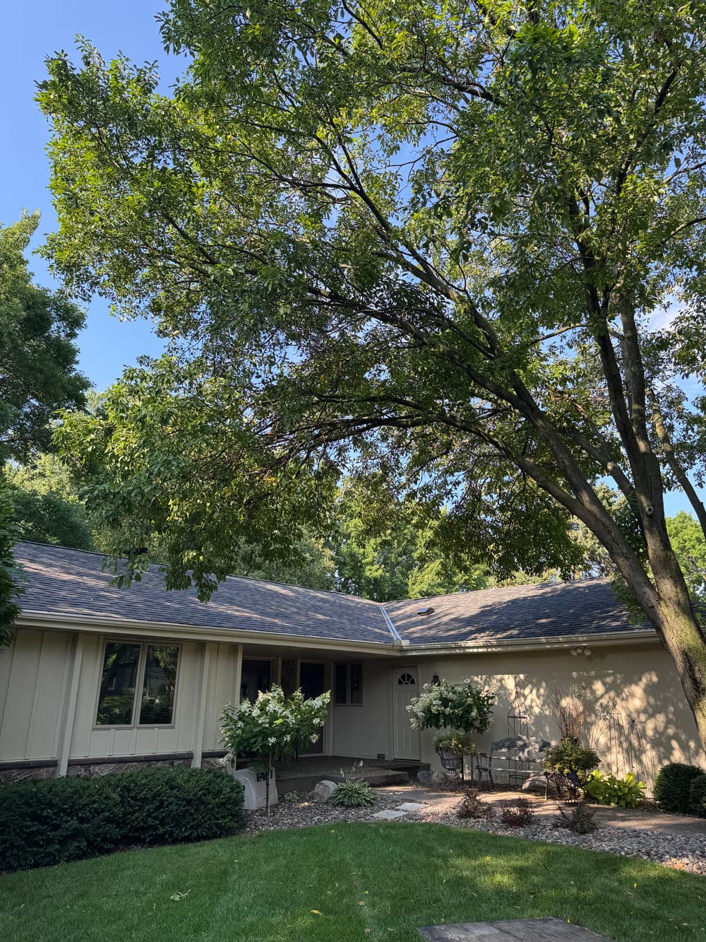 Gallery photos for Roof Clearance, Dead Wood Removal, and a Lake View Restored in Minneapolis: Image #2