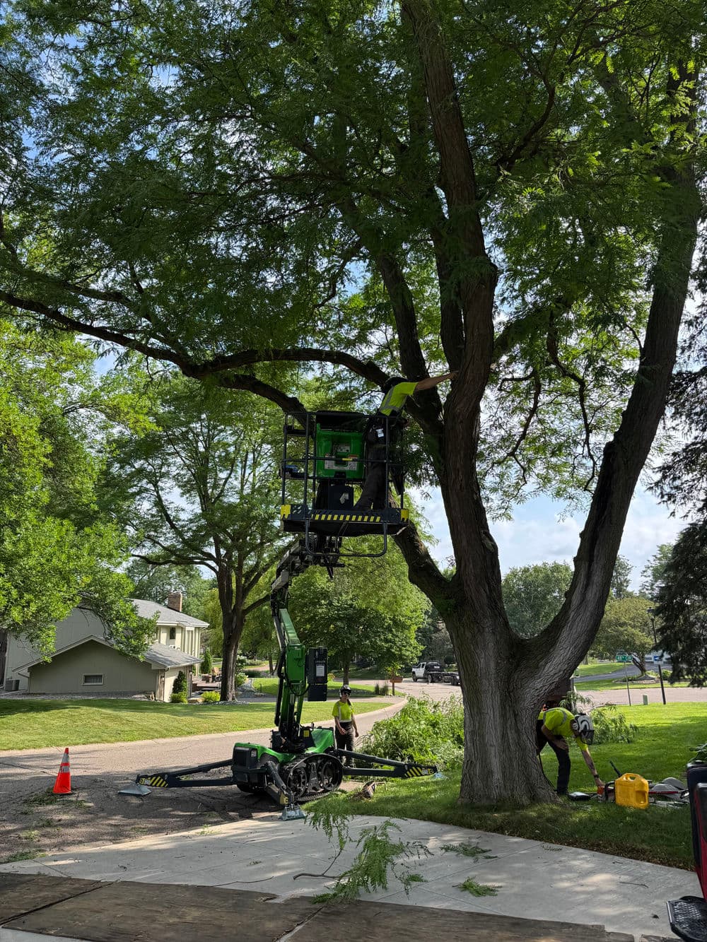 Gallery photos for Roof Clearance, Dead Wood Removal, and a Lake View Restored in Minneapolis: Image #1