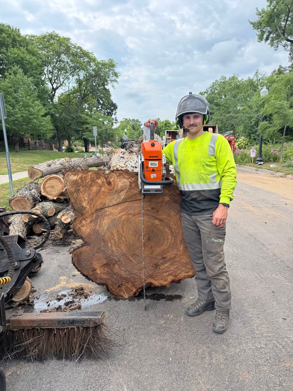 Gallery photos for Massive Dead Elm Crane Removal in Minneapolis: Image #4