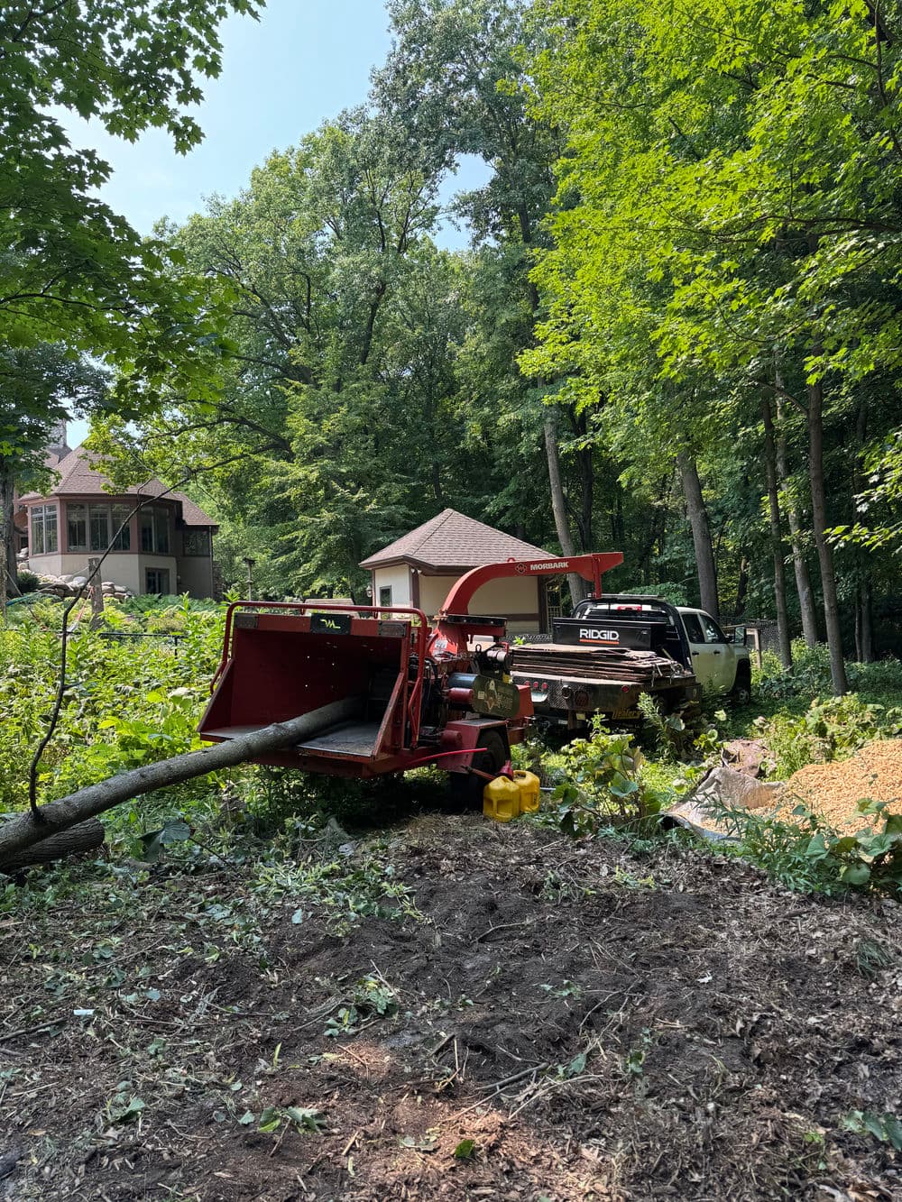 Gallery photos for Tree Pruning and Removal Day in Mound MN: Image #1