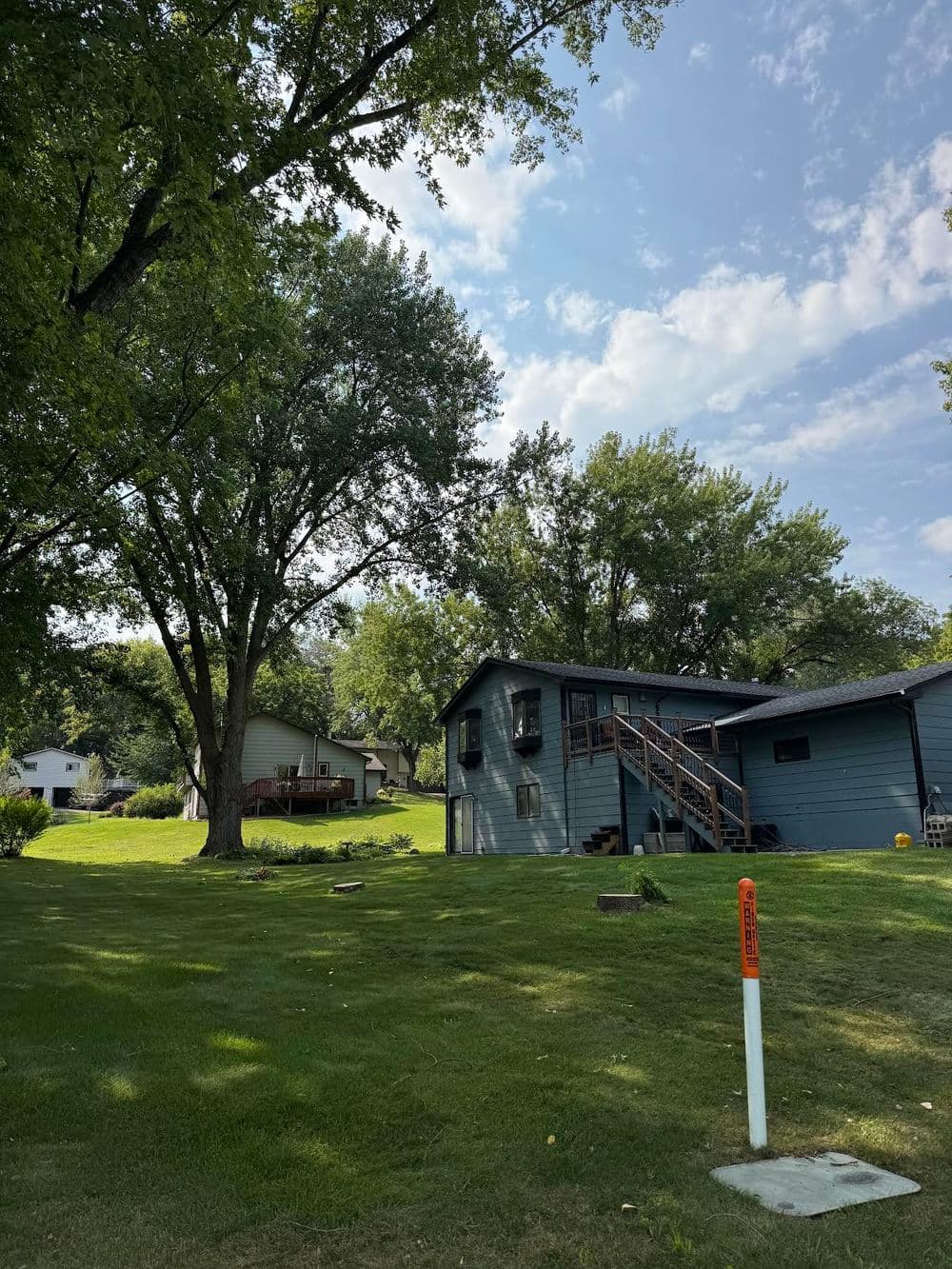 Gallery photos for Three Dead Ash Trees Gone in Chaska - What a Difference: Image #1