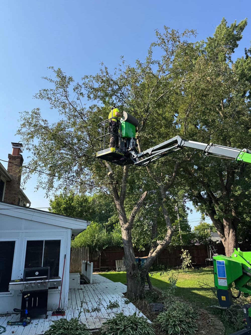 Crab Apple Removal and Silver Maple Pruning in Minneapolis image