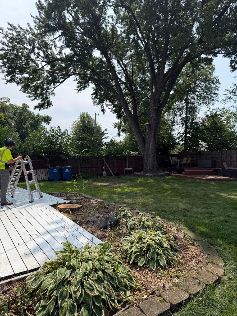 Gallery photos for Crab Apple Removal and Silver Maple Pruning in Minneapolis: Image #2