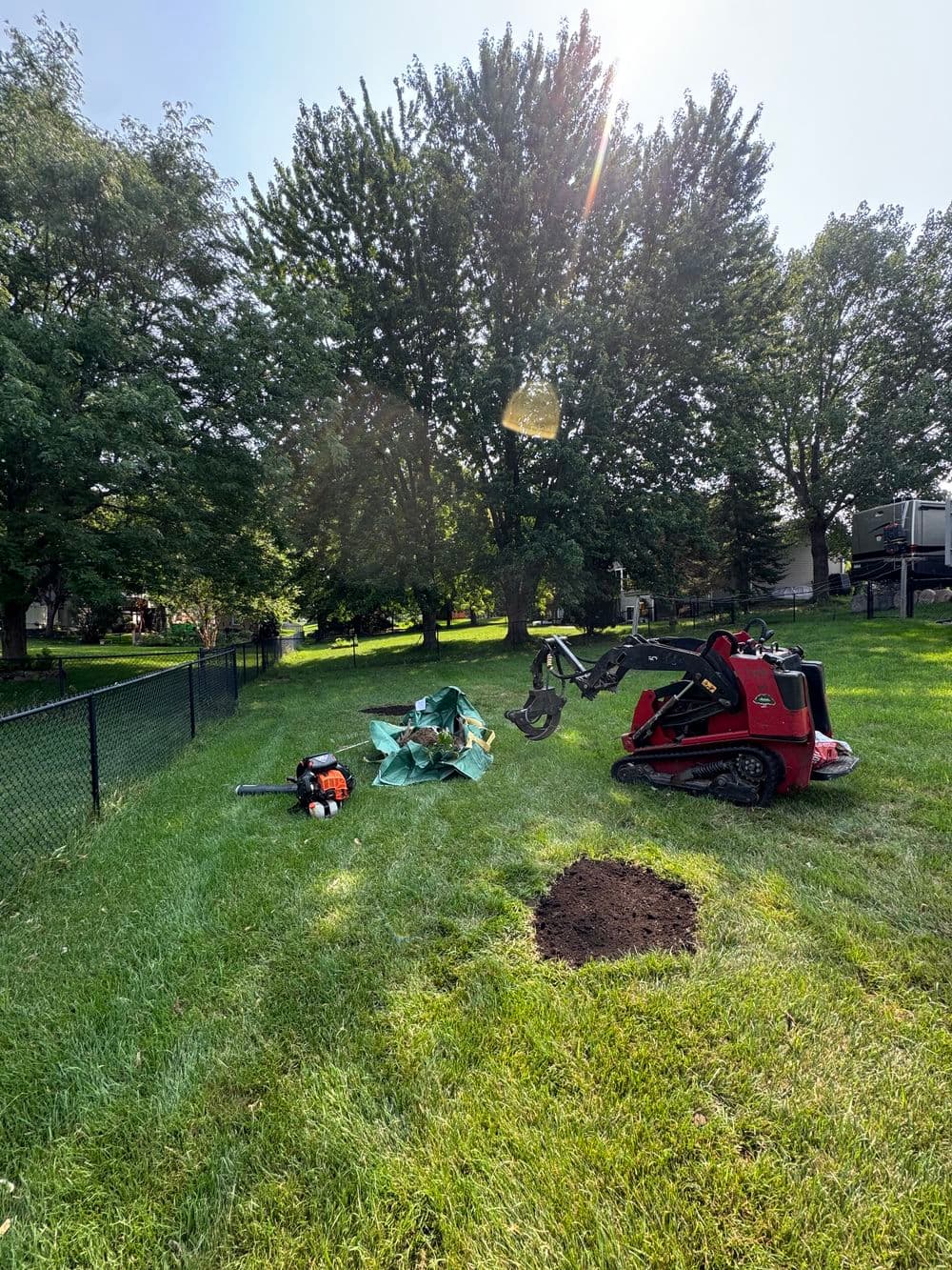Gallery photos for River Birch Pruning, Stump Grinding and Small Removals in Lakeville: Image #1