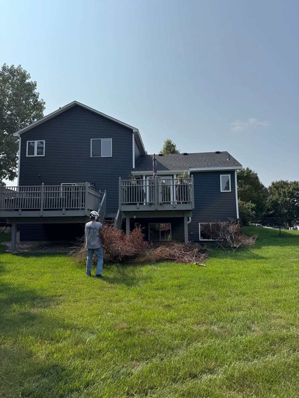 Gallery photos for River Birch Pruning, Stump Grinding and Small Removals in Lakeville: Image #2