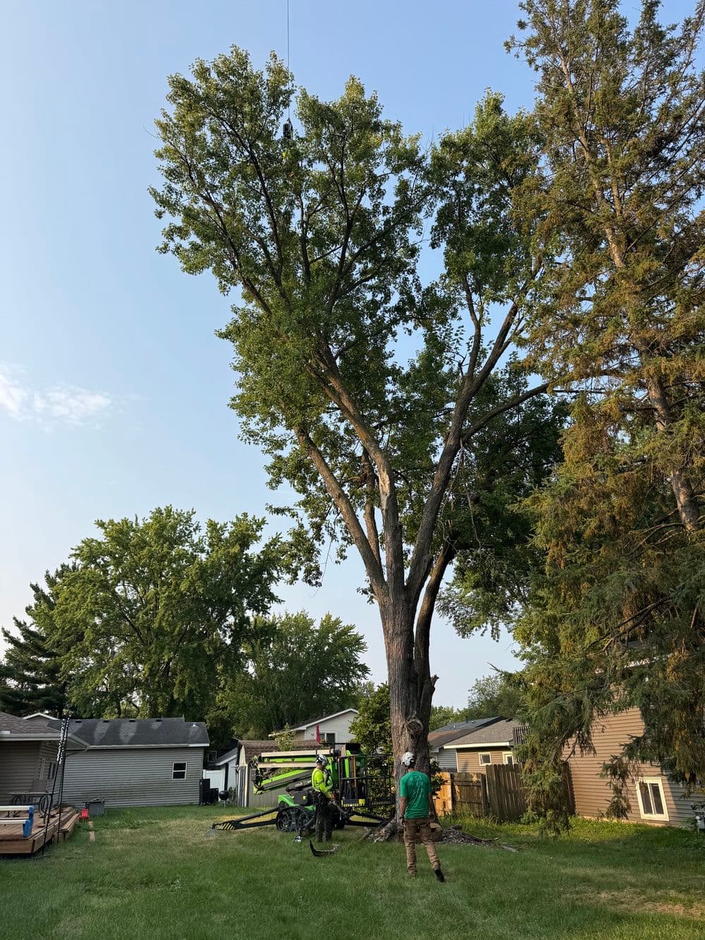 Crane Crew Contract Work - Four Large Tree Removals image