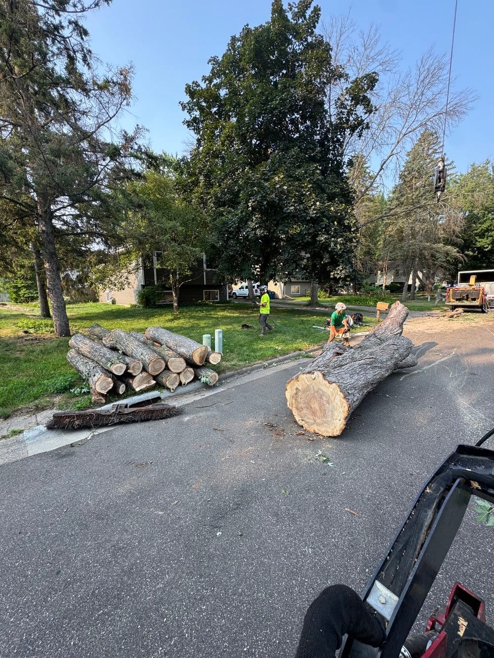 Gallery photos for Crane Crew Contract Work - Four Large Tree Removals: Image #1