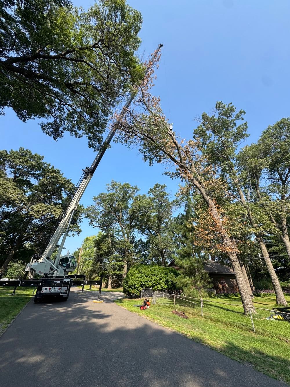 Gallery photos for Crane Crew Contract Work - Four Large Tree Removals: Image #2