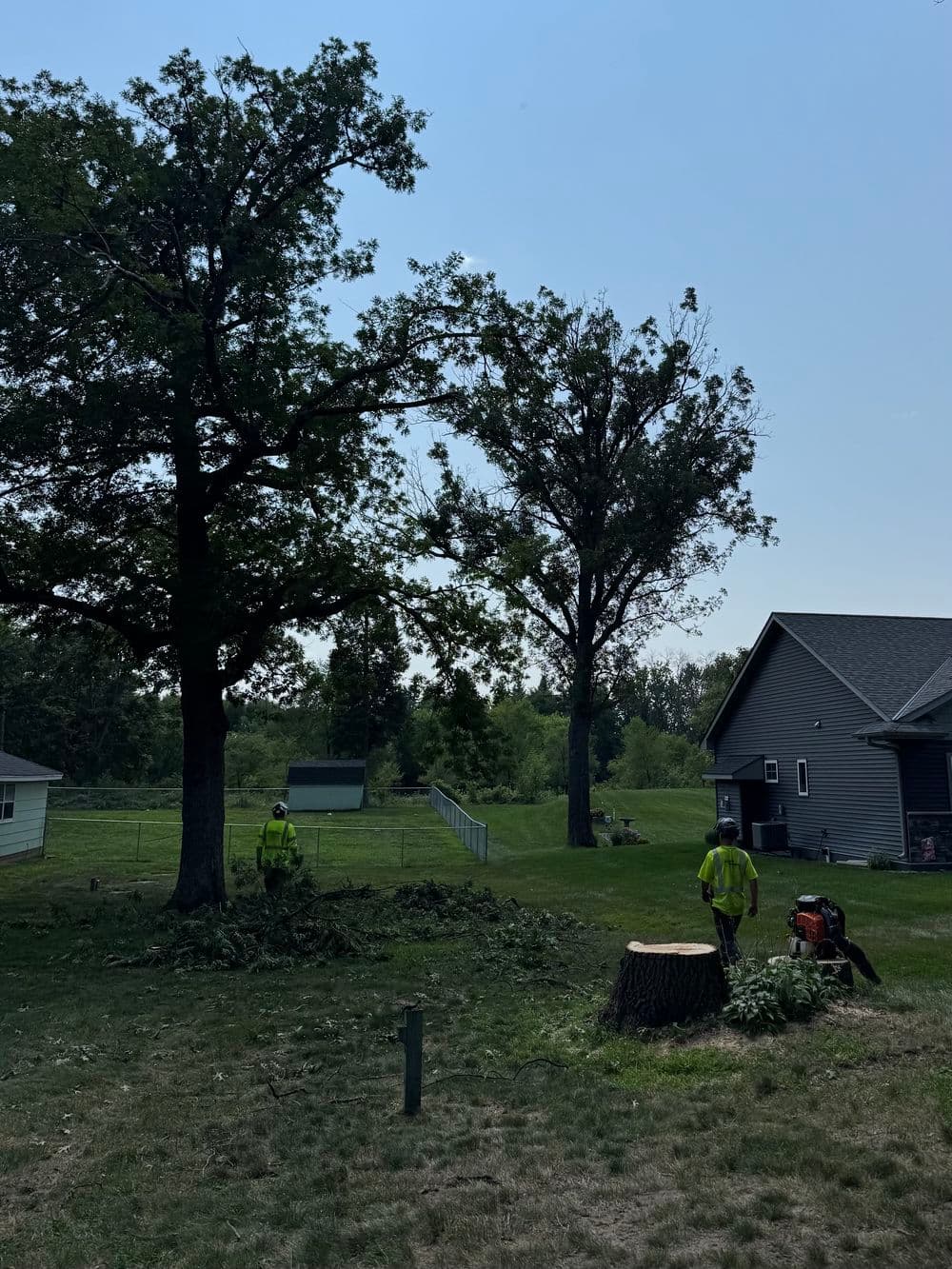 Gallery photos for Crane Crew Contract Work - Four Large Tree Removals: Image #3