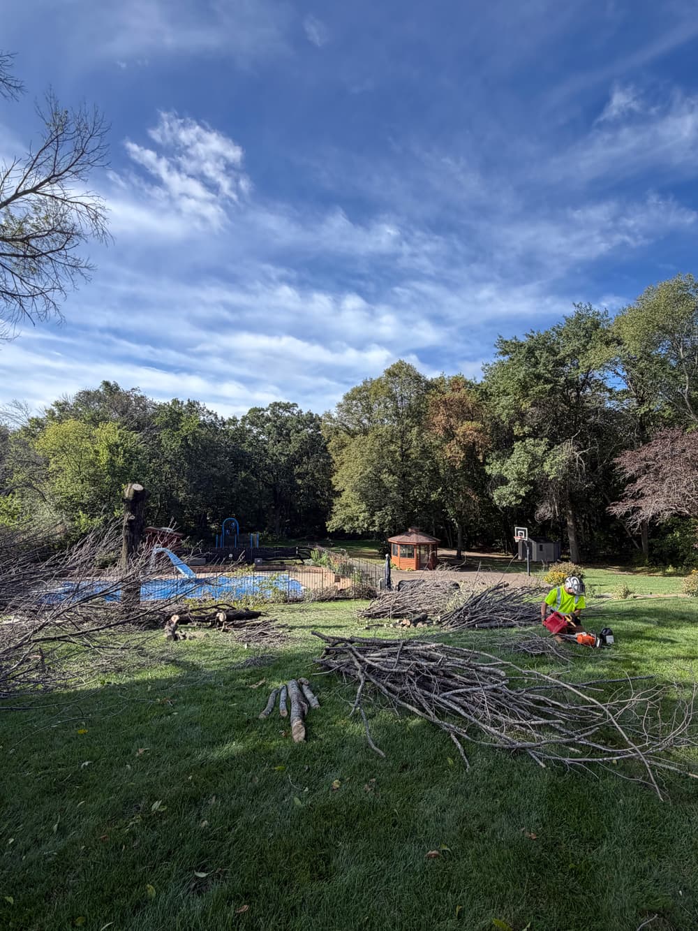 Gallery photos for Two Large Tree Removals on a St. Michael Property: Image #1