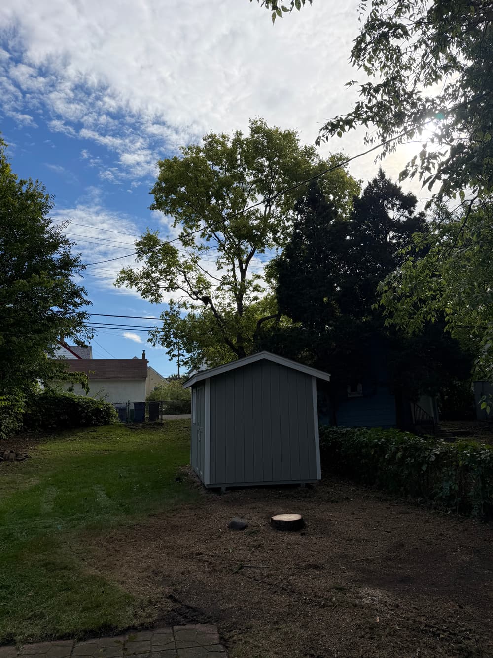 Gallery photos for Tree Removal near power line in Minneapolis, MN: Image #1