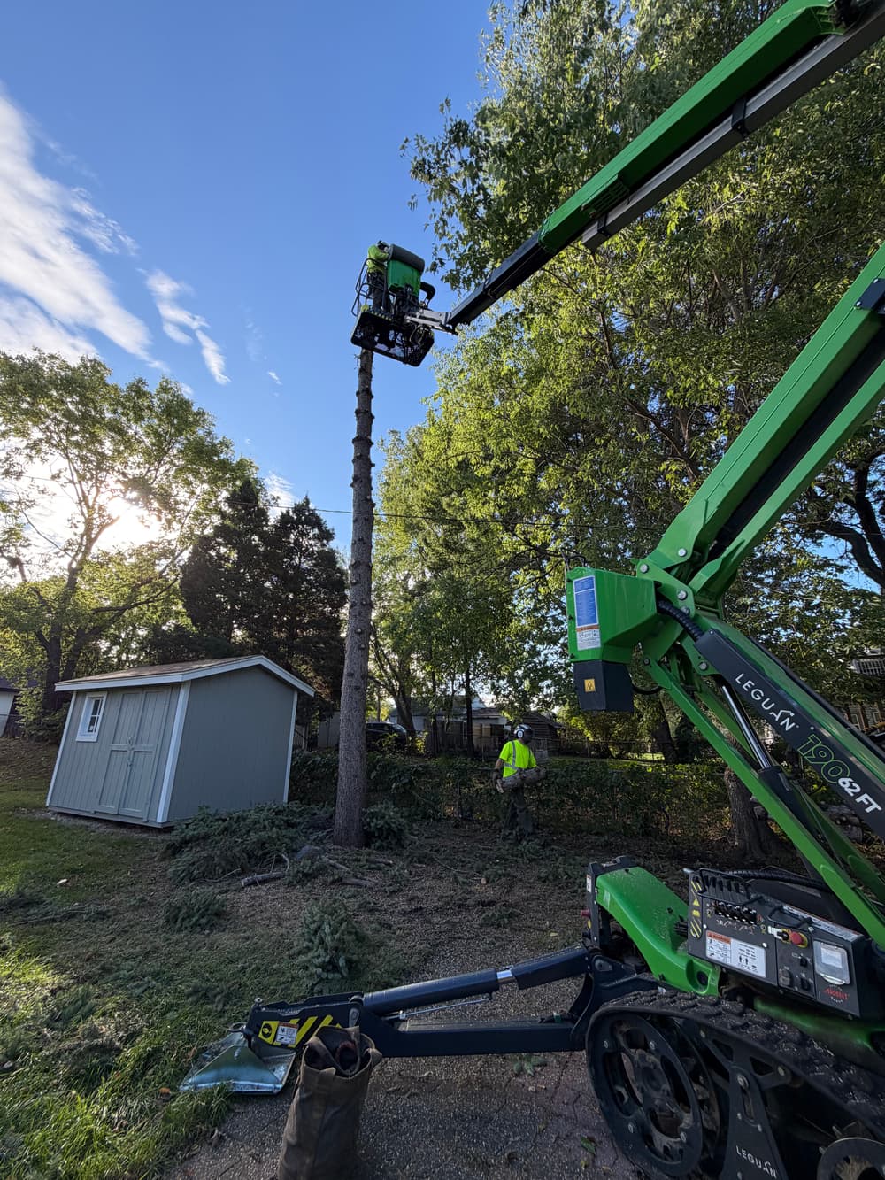 Tree Removal near power line in Minneapolis, MN image