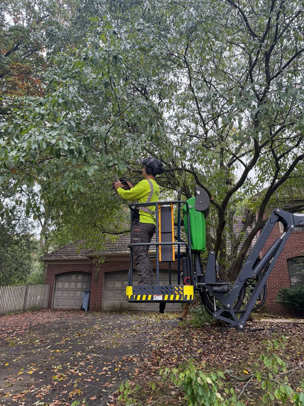 Project Tree Pruning for Roof Clearance and Canopy Lift in Edina, MN image