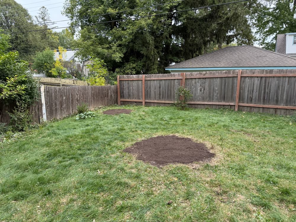 Gallery photos for Two Diseased Ash Removals with no equipment access in Minneapolis, MN: Image #2
