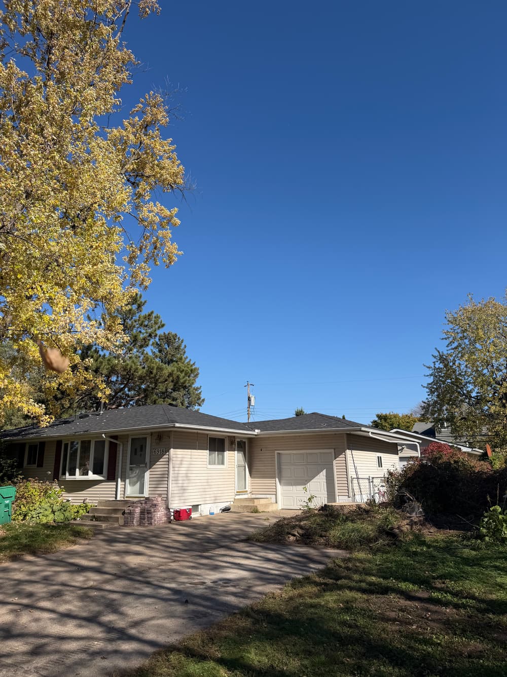 Dead Ash Tree Removal in Minneapolis Done Right image